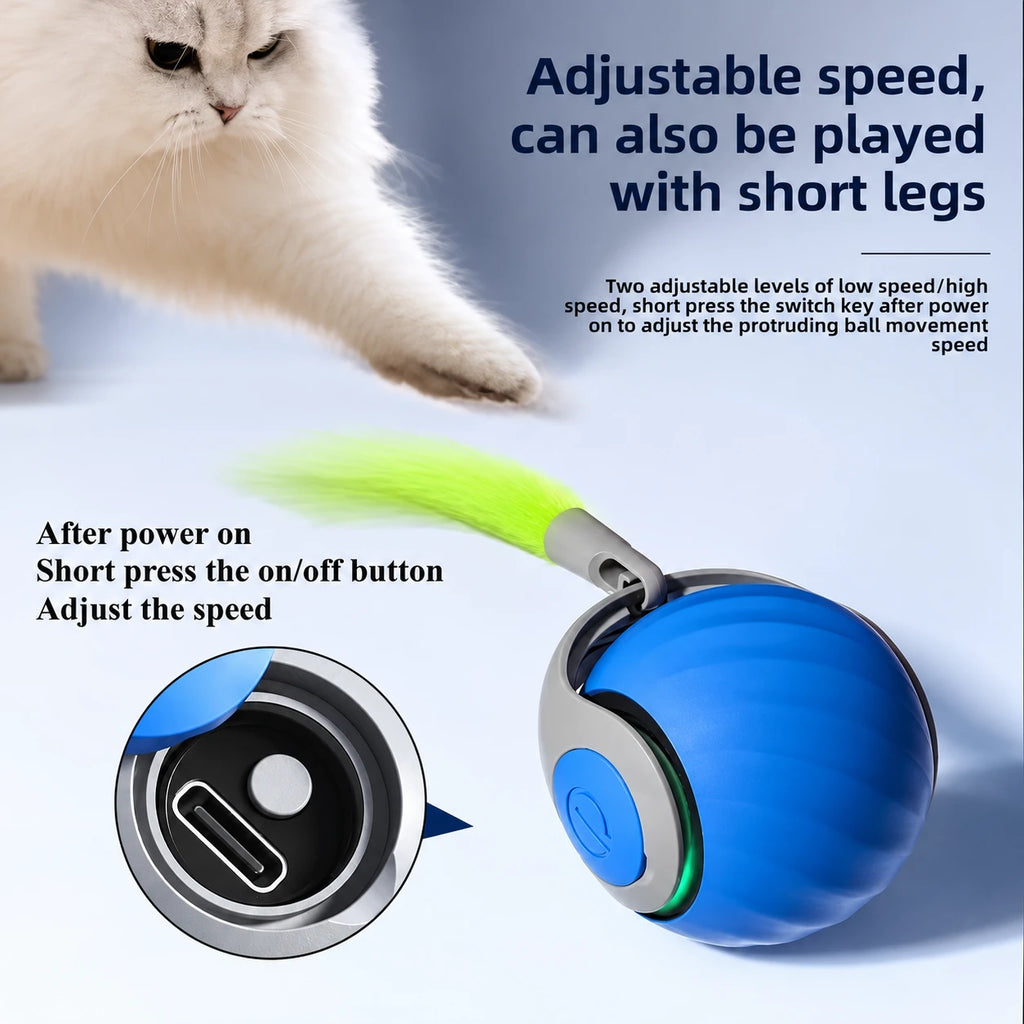 Chase Ball adjustable speed and USB-C charging illustration