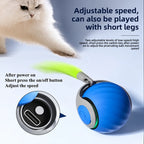 Chase Ball adjustable speed and USB-C charging illustration