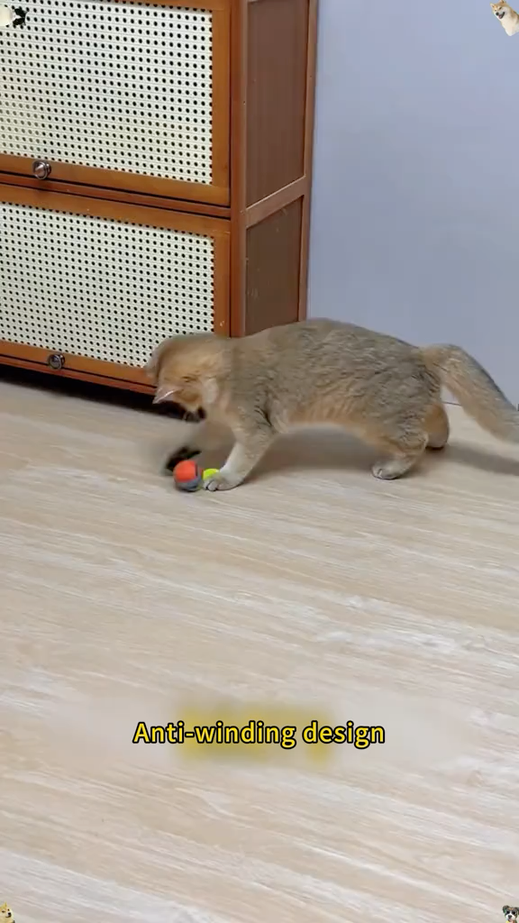 A cat batting an orange Chase Ball on a wooden floor, captured from the product video